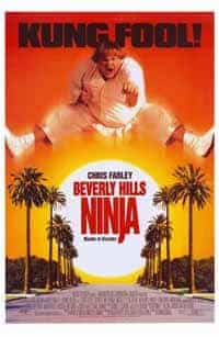 Beverly Hills Ninja